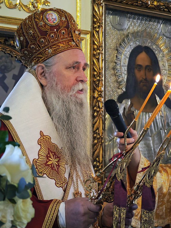Жељко Драшковић / Саша Дедић
