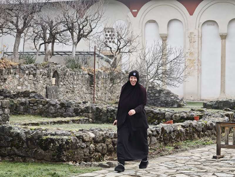 Жељко Драшковић