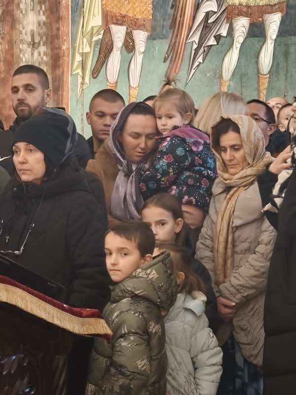 Жељко Драшковић