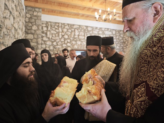 Митрополија црногорско-приморска