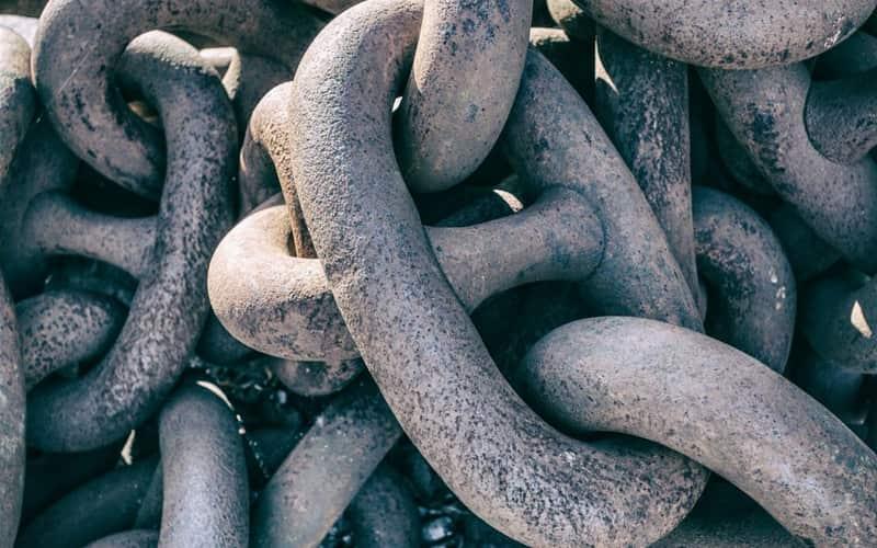 Протојереј Стивен Фримен: Слобода и личност