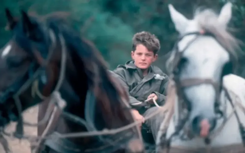 Споменко Гостић